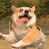 https://ak-d.tripcdn.com/images/1h62o12000dqxk08d37CD.jpg
