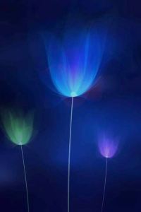 M41307**** 蘇州金雞湖希爾頓歡朋飯店優惠