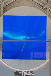 Puyongmin 釜山樂天飯店優惠