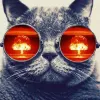 Avatar 1