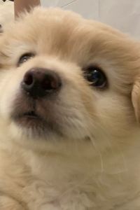 Shangbanchixibeifeng 布偶·未來公寓（佛山華僑城歡樂海岸Plus店）優惠