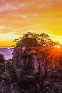 Lyndon Zhangzhanglei 泰安泰山景區希爾頓歡朋飯店優惠
