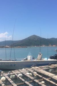 M494865**** 新加坡八方飯店優惠