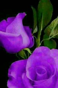 Wanzhongshanzhongmibao 韓友舍公寓（廈門北站店）優惠