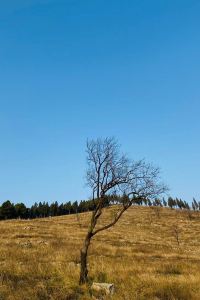 Majima_Goro 澳門英皇娛樂酒店優惠