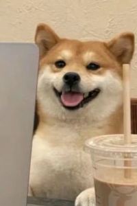 Nory！ 佛山希爾頓酒店優惠