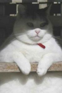 ！yangyu！ 華雅·雲縵飯店（岳陽樓區火車站店）優惠