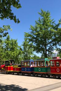 D5699**** 泰維斯托克飯店優惠