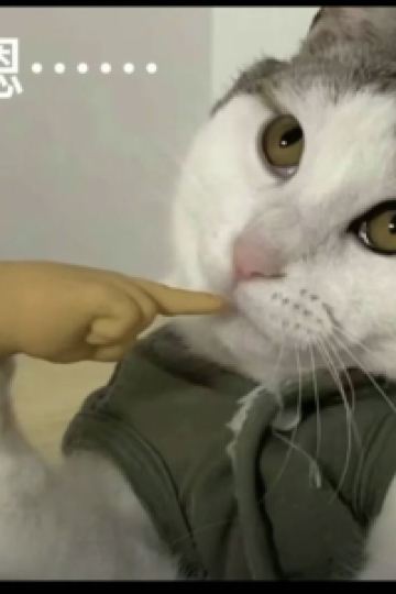 訪客 海口騎樓還客1921精品民宿優惠