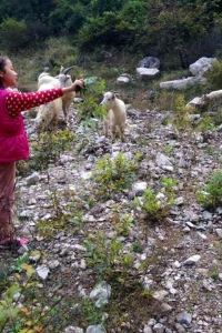 Huajiehj 早晨天空飯店優惠