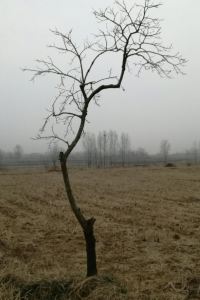 Liuxinyong 常尚·北歐飯店（深圳萬科雲城西麗地鐵站店）優惠