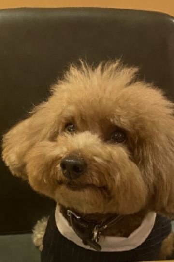 Haha668888 銅鑼灣愛麗舍酒店優惠