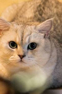 Kim6601 威海希爾維亞飯店優惠