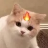 Avatar 1