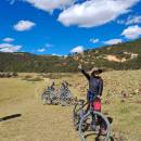 _Echinaelena2006****