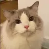 Avatar 3