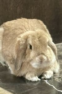 Reaishenghuojia233 北京四季酒店優惠