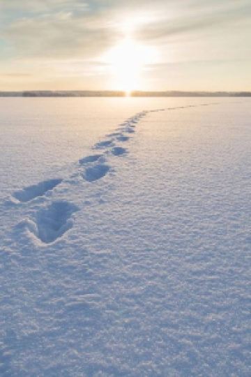 Hailansedewenzi 青島海天大酒店優惠