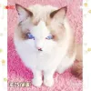 Avatar 1