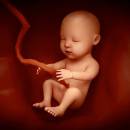 HuanqiuchiziGlobal Baby