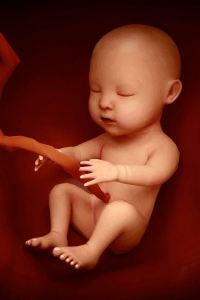 HuanqiuchiziGlobal Baby 香港都會海逸酒店優惠