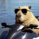 Baochiyouliangxiguan