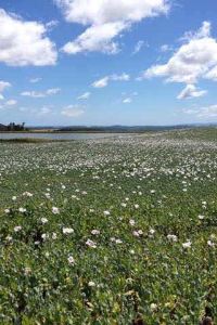 Xiangzhandaole 掛川グランドホテル クーポン