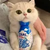 Avatar 3