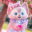 Toufalingluandezhongnianshaonv