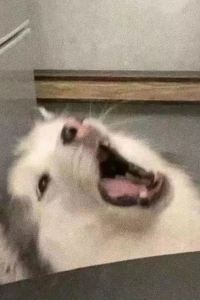 ChouyouziZ 利騰電競公寓（富華里店）優惠