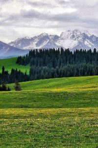 Tuixiudemanyouzijiake 惠州朗曼飯店（西湖水東街店）優惠