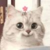 user-icon