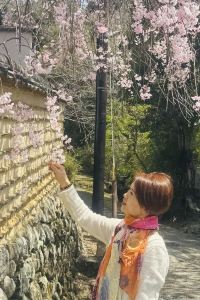 wind0329 シラハマキーテラス　ホテルシーモア クーポン