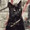 Avatar 3