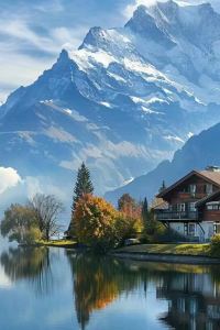 Aozhoudashu 新雪谷托裡菲託膠囊飯店優惠