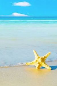 _WeChat264817**** 全季飯店（北京亦莊開發區店）優惠