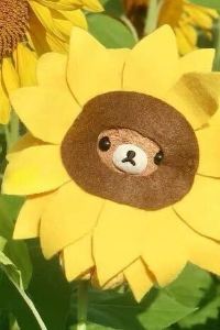 M374294**** 成都天府國際機場明宇麗呈睿軒飯店優惠