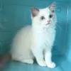 Avatar 2