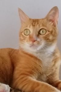 M530687**** 廣州南沙花園酒店優惠