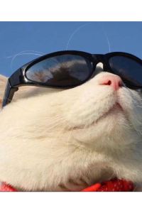 Ketty- 亞特蘭蒂斯酒店優惠