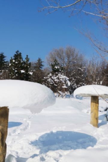 Shirley&Jeremy 嘉義耐斯王子大飯店優惠