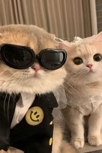 😄z3t😇 巴黎鮑勃艾麗艮西亞酒店優惠