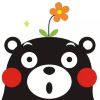 user-icon