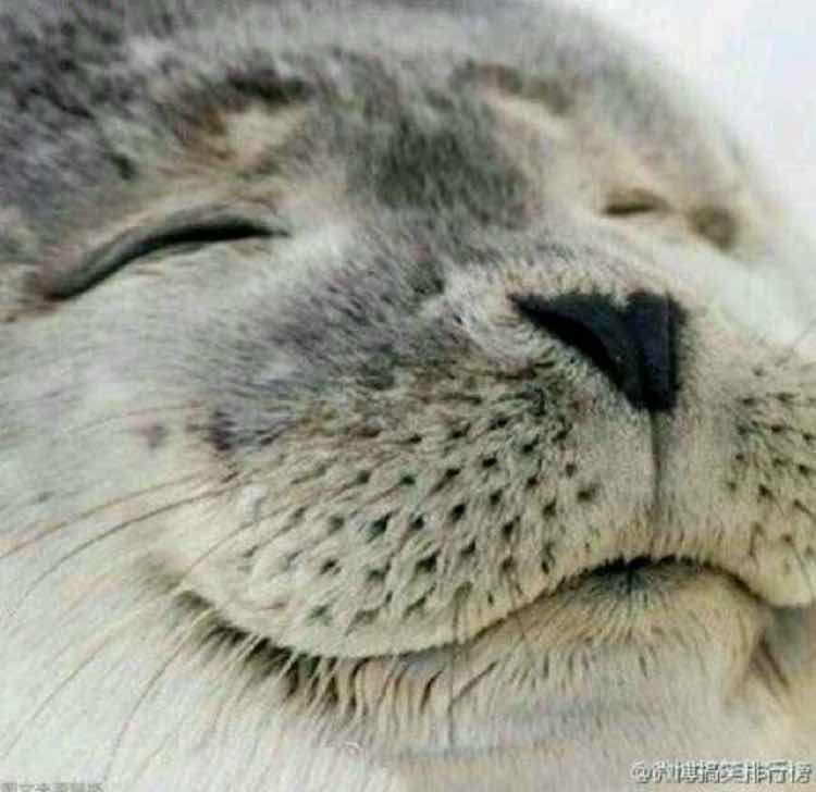 head-img
