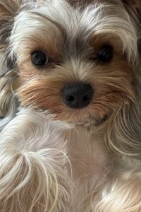 Ummner 凱里亞德酒店（湖南金融中心店）優惠