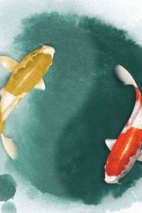 _M1352143**** 海口萬麗酒店優惠