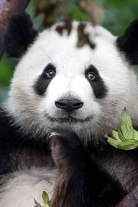 Linying005 夢之戀主題飯店（珠海拱北口岸店）優惠