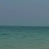 Avatar 3