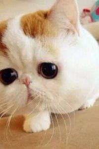 1525718**** 良友啟程飯店（廣州西門口地鐵站北京路步行街店）優惠