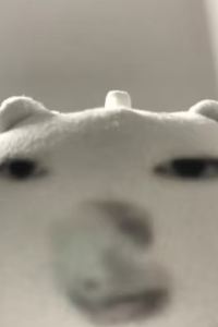 HAKUKAKI 東横INN札幌すすきの交差点 クーポン